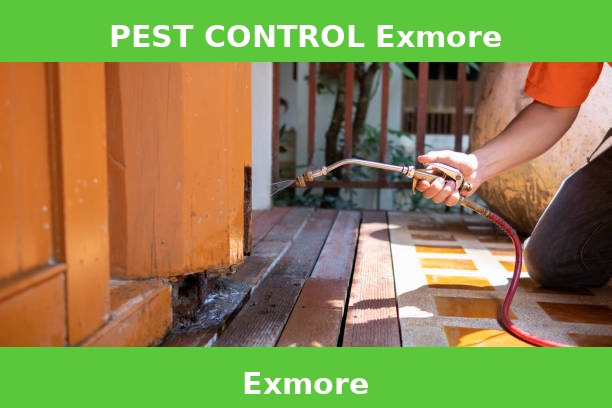PEST CONTROL Exmore